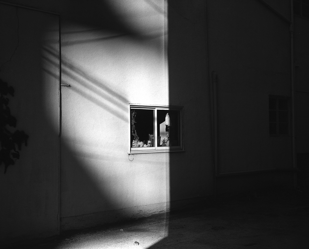 Introduction by Manabu Torihara @ CAPA