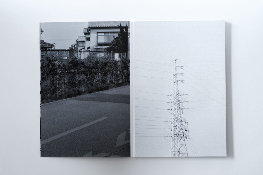 GRAYOUT_003