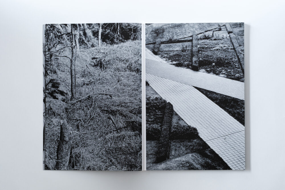 GRAYOUT_005