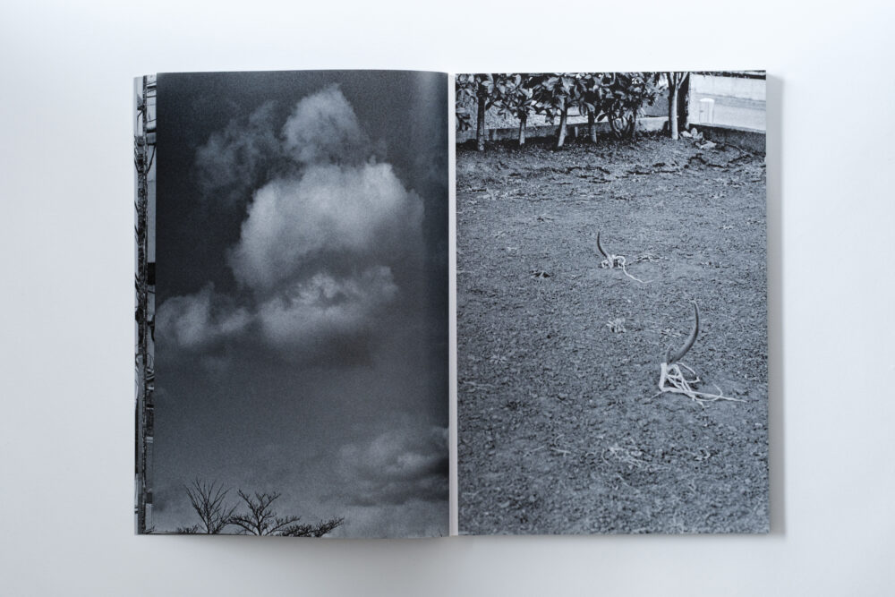 GRAYOUT_010