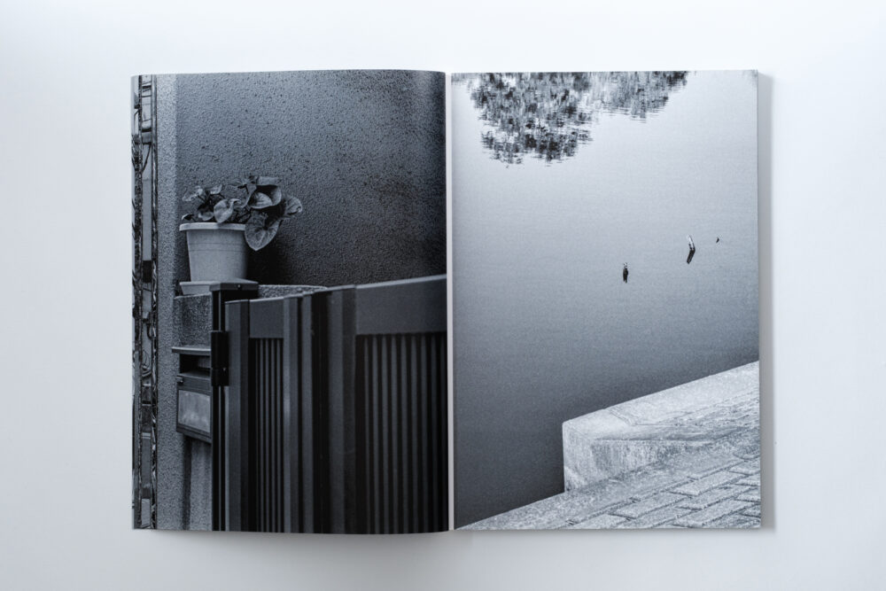 GRAYOUT_018