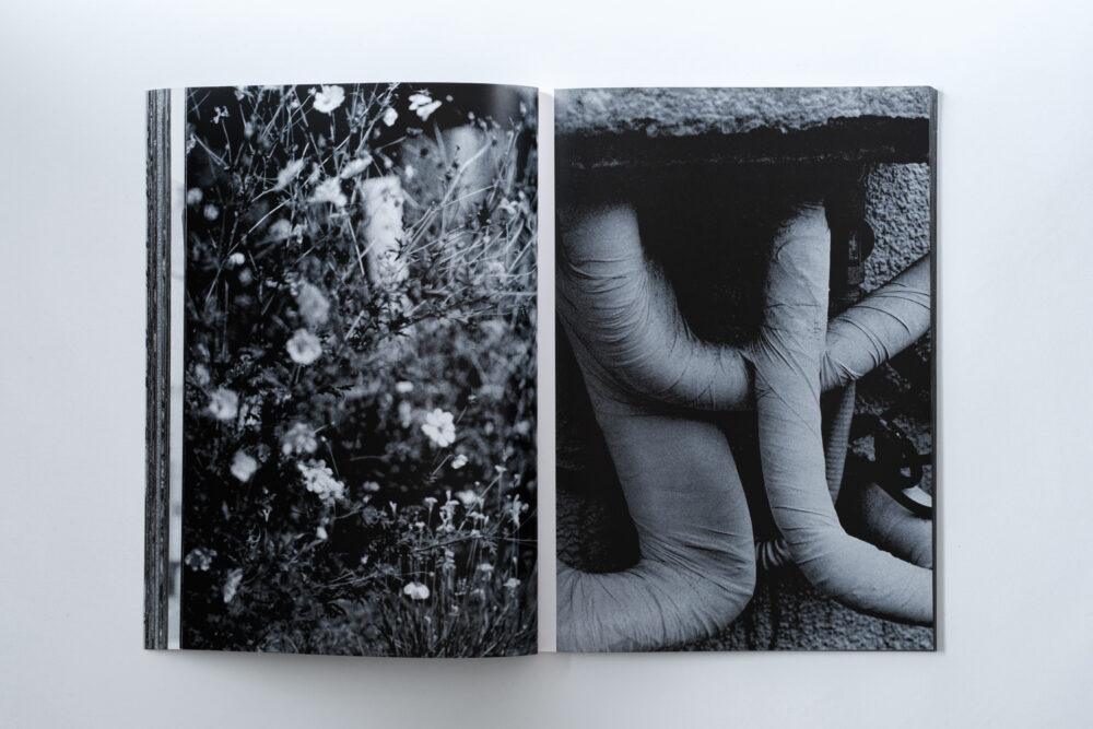 GRAYOUT_044