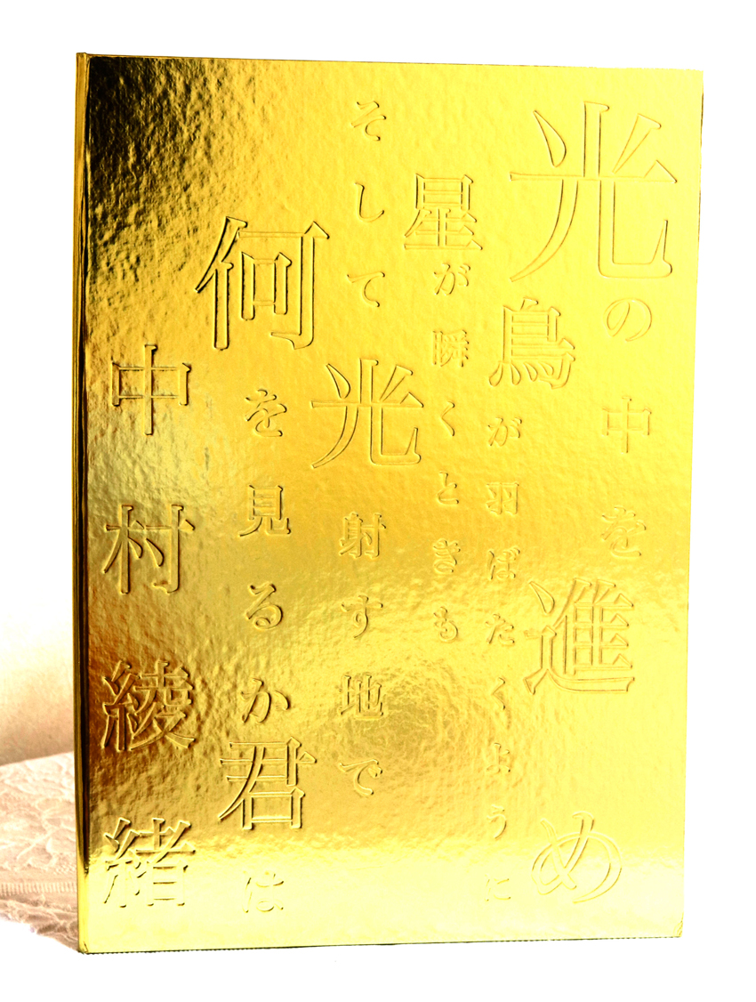 Move Through the Light, Like a Bird in Flight, Even as Stars Flicker — And What do you see Where the Light pours in?