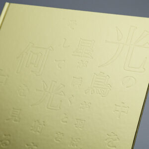 Move Through the Light, Like a Bird in Flight, Even as Stars Flicker — And What do you see Where the Light pours in?